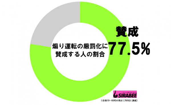 あおり運転厳罰化_円グラフ