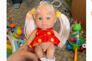 トランスジェンダーの子供の人形