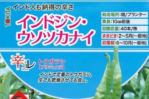 衝撃的な名前の唐辛子が話題に　メーカーは「インド人が実際に認めた味だから」