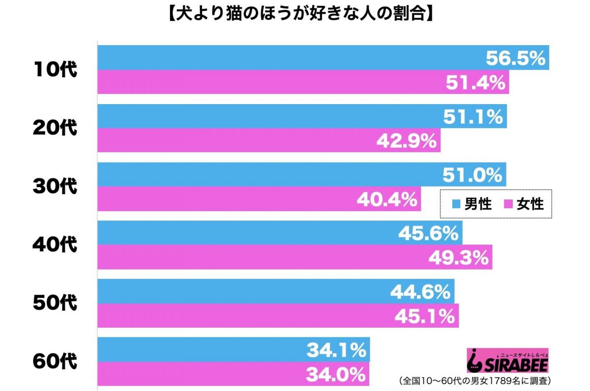 犬派・猫派