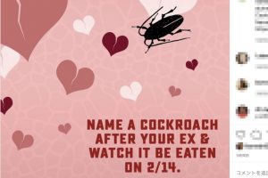 「ゴキブリに元恋人の名前をつけて餌に」　動物園のバレンタイン企画が話題
