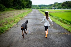女児と犬