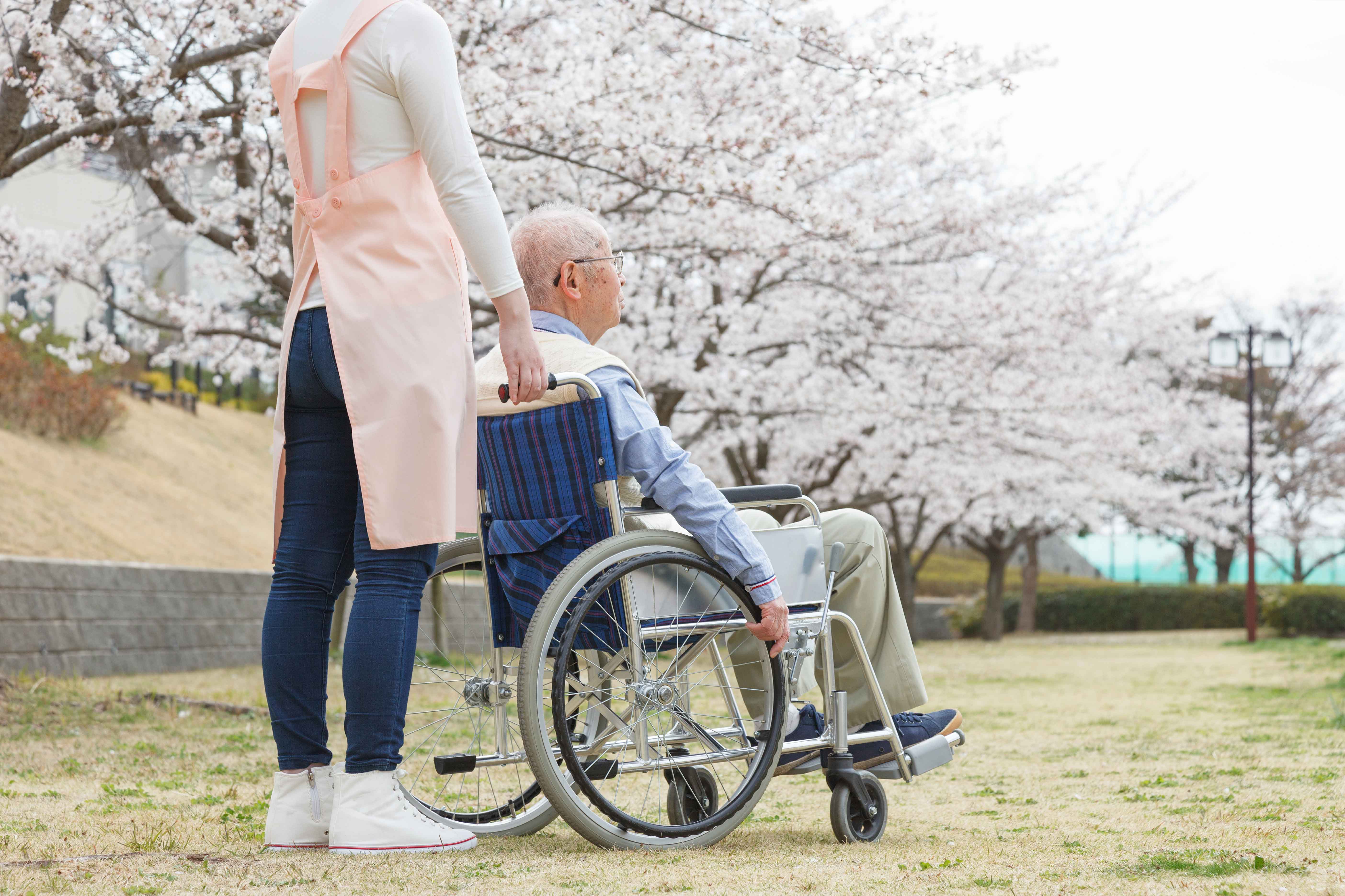 高齢者と桜