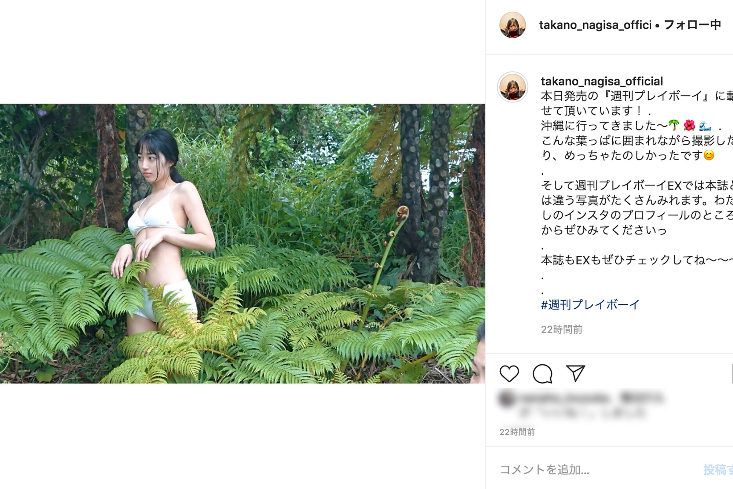 高野渚
