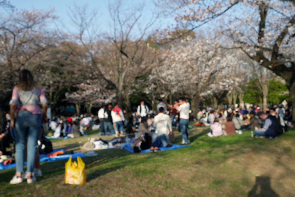 sirabee20200321hanami8