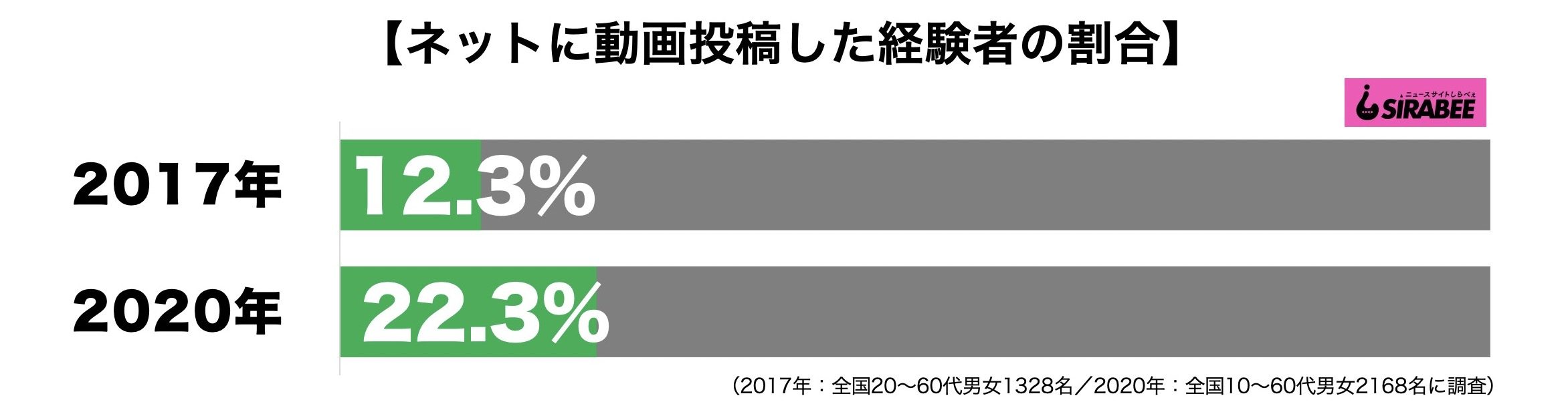 ネットに動画投稿