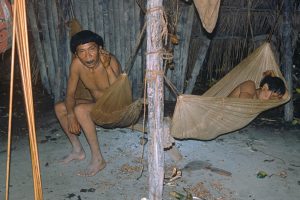 アマゾン先住民族で若者が続々と新型コロナに　免疫力が弱く多くが重症化か