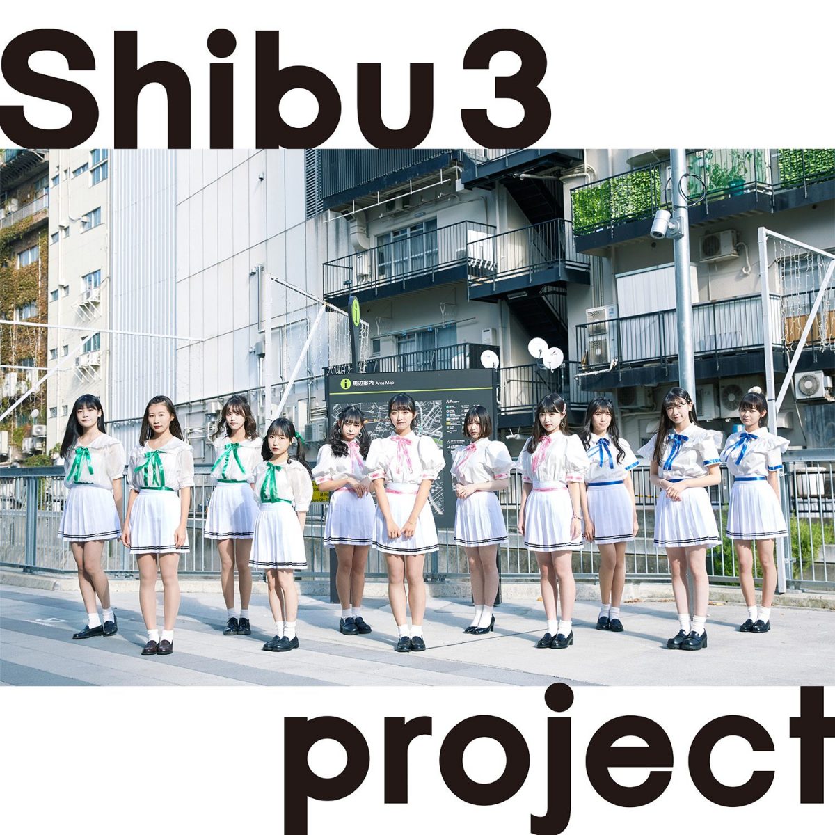Shibu3 project