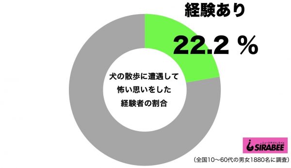 犬の散歩に遭遇して恐怖体験