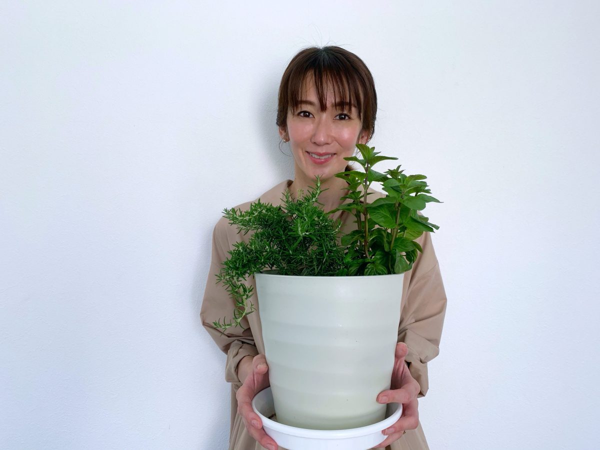 sirabee20200513okochinanako1