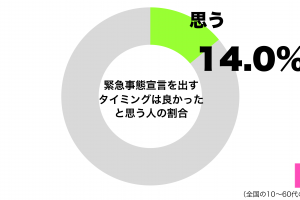 日本が緊急事態宣言を出すタイミングはちょうど良かったと思うグラフ