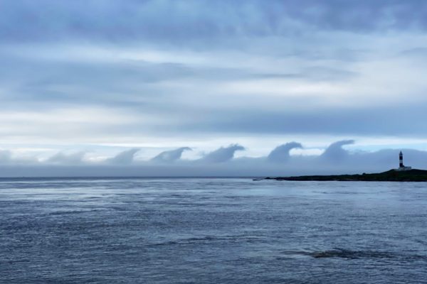ゴジラの行進 青森で撮られた不気味な雲の 正体 を気象庁に聞いた ニュースサイトしらべぇ
