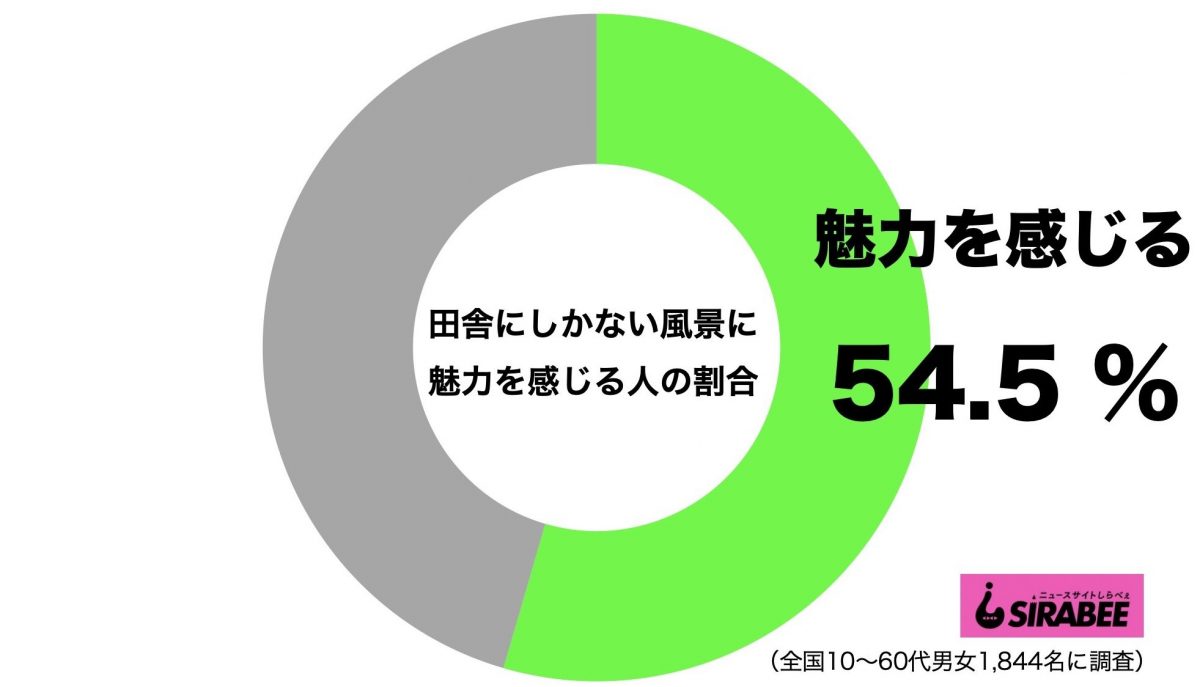 sirabee20210104inaka1