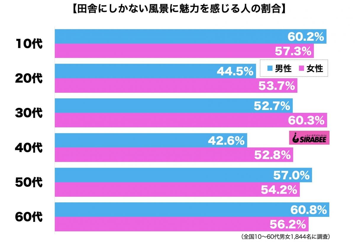 sirabee20210104inaka2