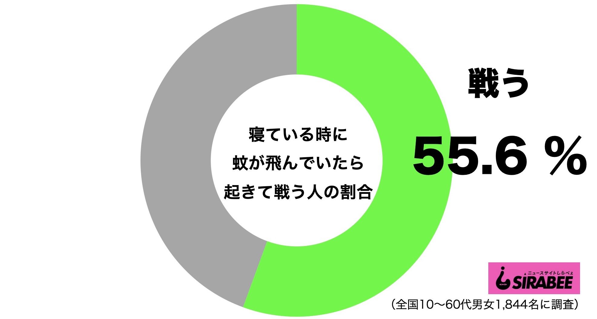 寝ている時に蚊が飛んでいたら起きて戦う