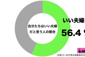いい夫婦_円グラフ