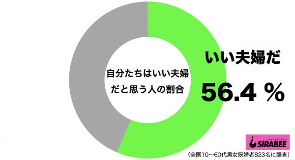 いい夫婦_円グラフ