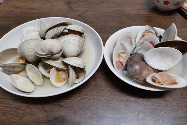 地ハマグリ・ホンビノス貝食べ比べ