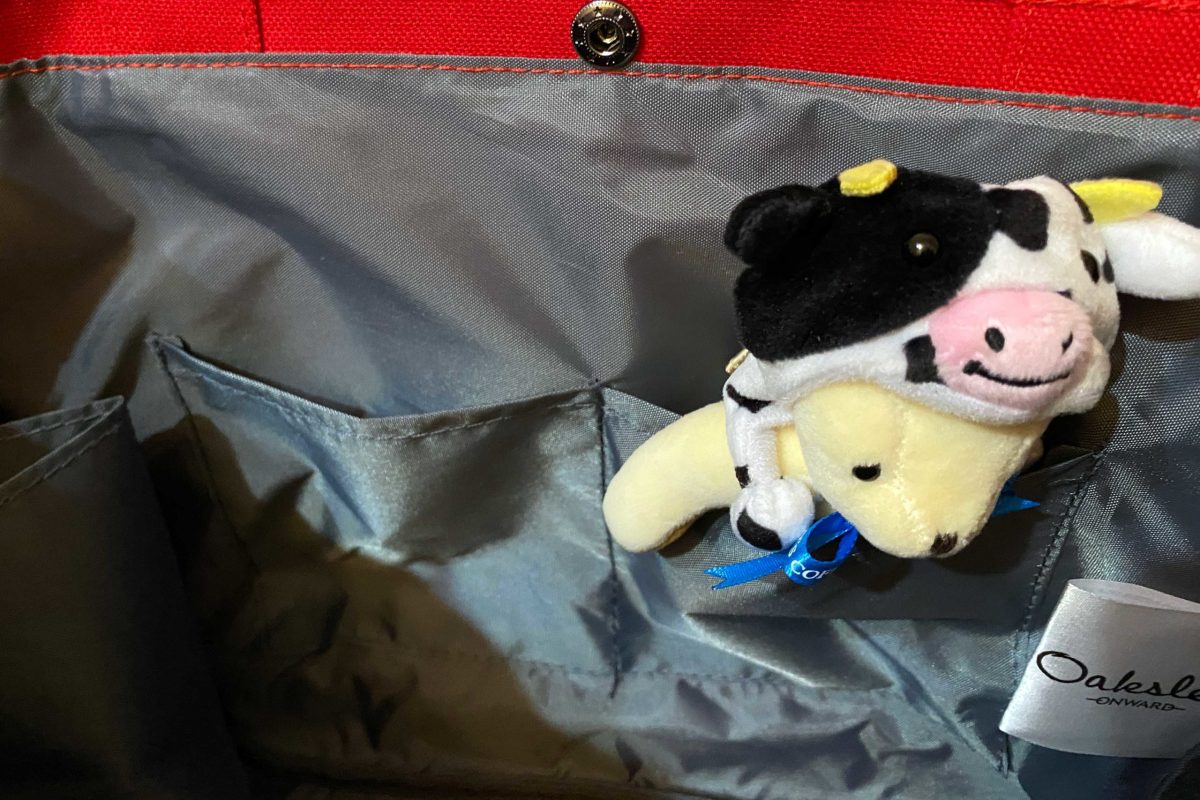 sirabee20201226tullys5