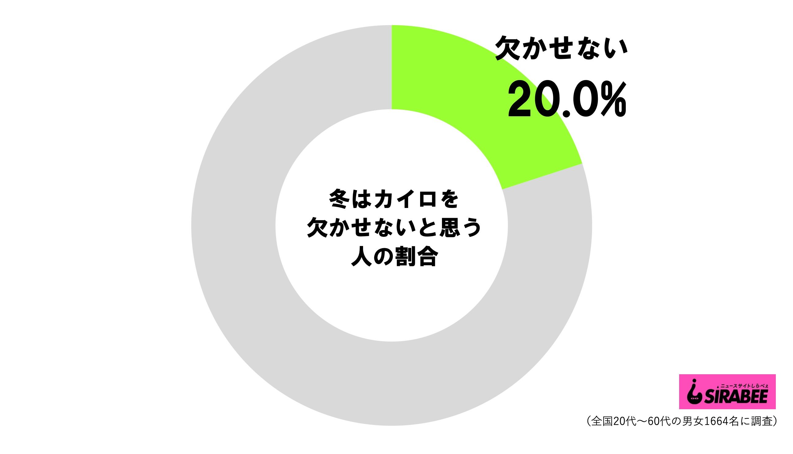 冬はカイロを欠かせない