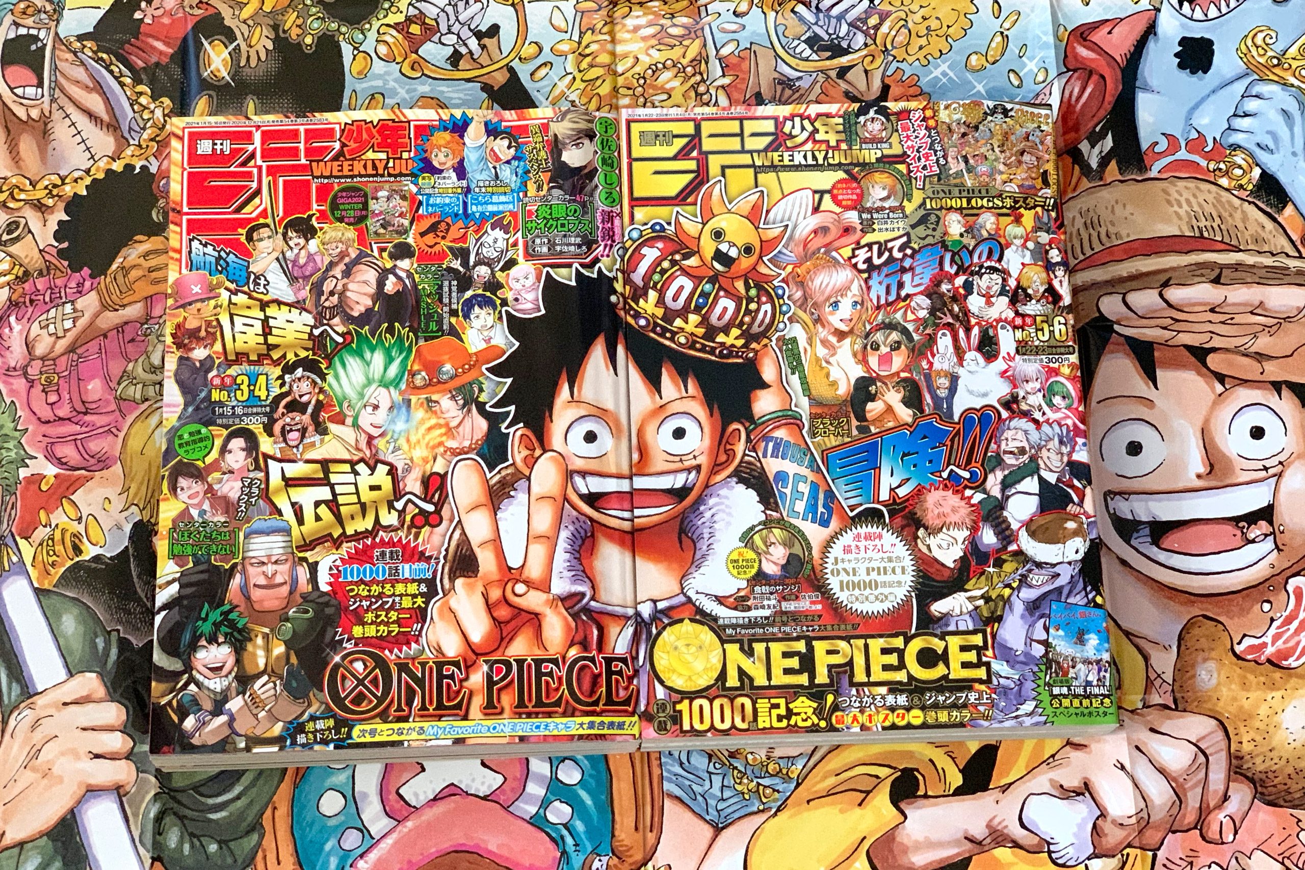 定形外郵便 One Piece 連載周年記念 集英社支給 ラミネートポスター 2年間保証 本 音楽 ゲーム 漫画 Roe Solca Ec