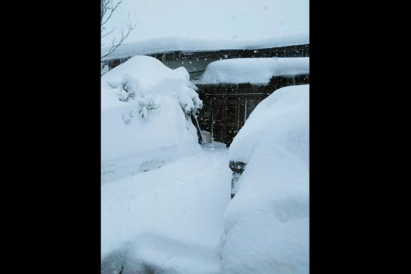 秋田　雪