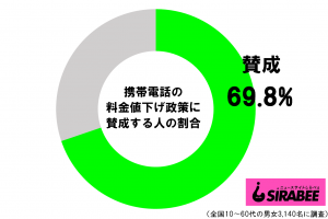 sirabee2021028keitai