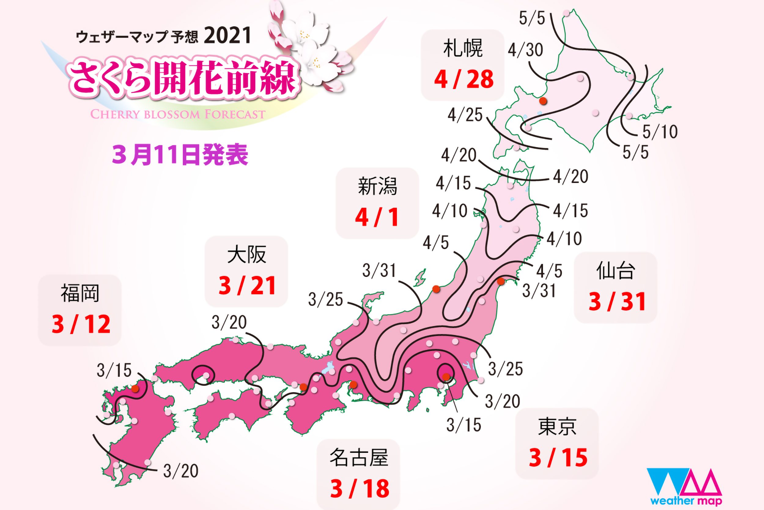 いよいよ桜前線スタート　開花発表、広島が全国トップになるのは観測史上初