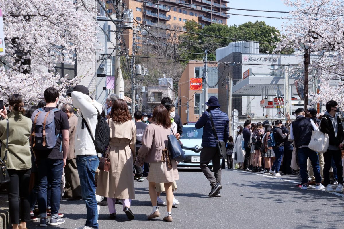 中目黒・目黒川・花見