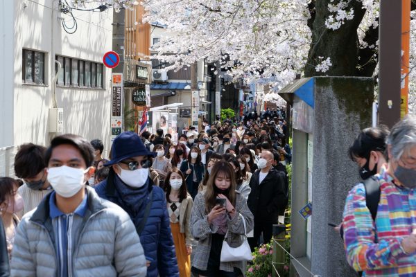 中目黒・目黒川・花見