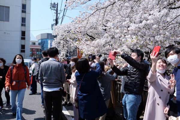 中目黒・目黒川・花見