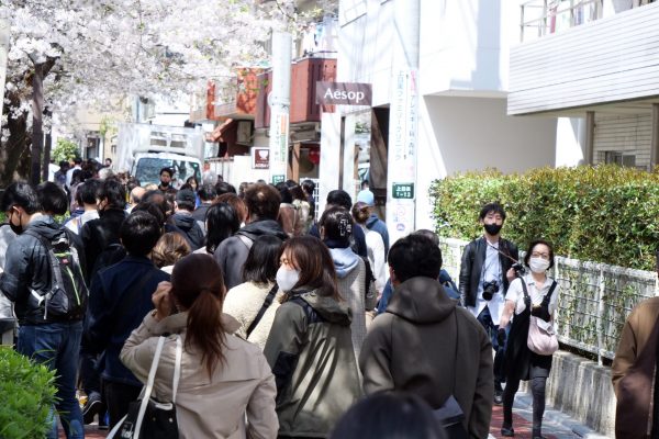 中目黒・目黒川・花見