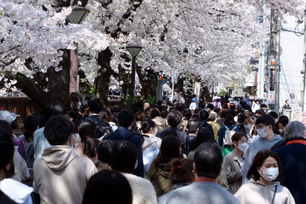 中目黒・目黒川・花見