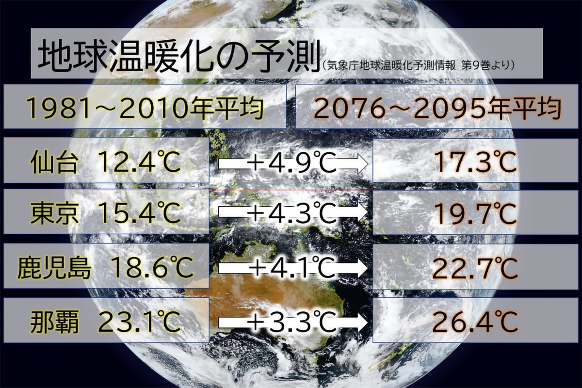 東京などで見頃を迎えたソメイヨシノ しかし将来は スカスカ桜 の恐れも Page 2 ニュースサイトしらべぇ