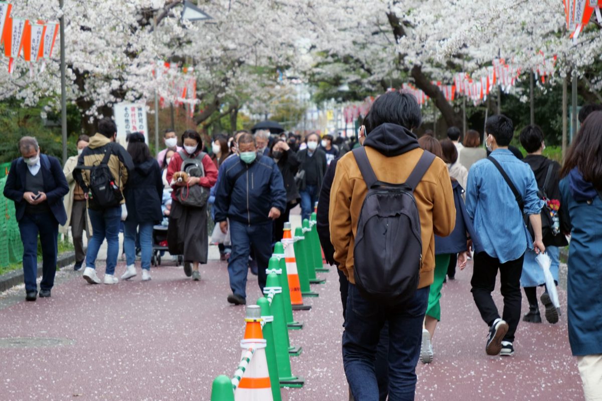 sirabee20210328ueno_sakura4