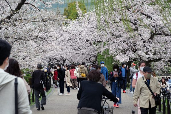 上野・花見