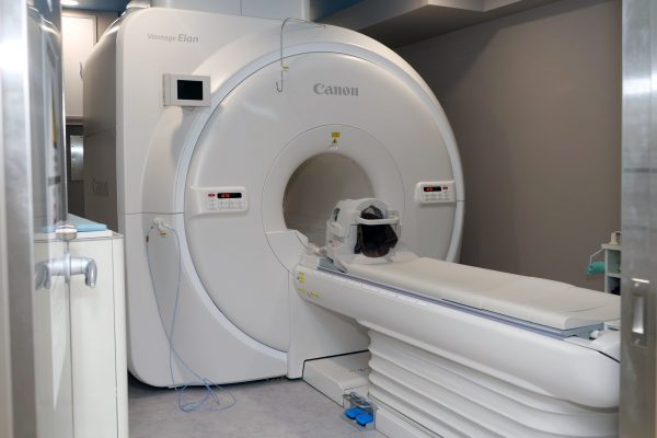 スマート脳ドック・MRI