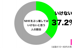 NHKをぶっ壊してはいけないと思うグラフ