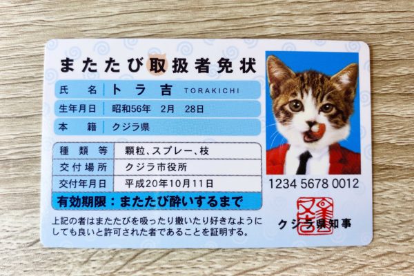 なめんなよカード