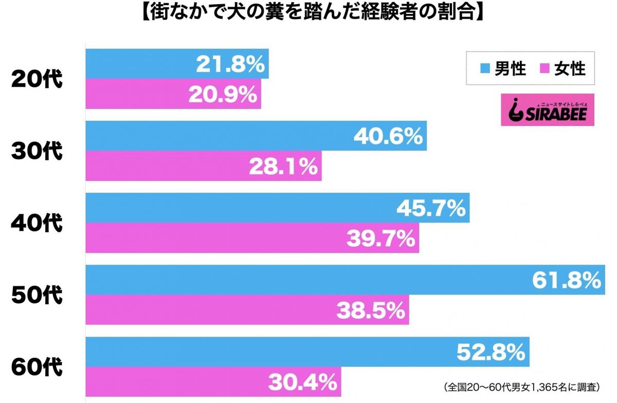 犬の糞を踏んだ経験者