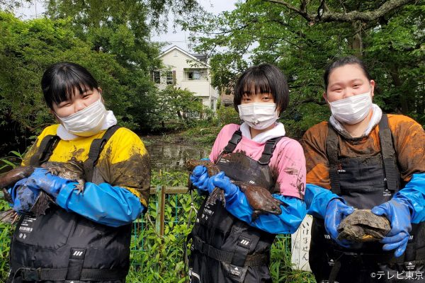 池の水ぜんぶ抜く