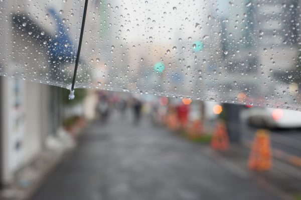 雨
