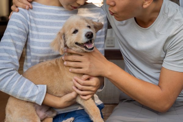 愛犬・夫婦