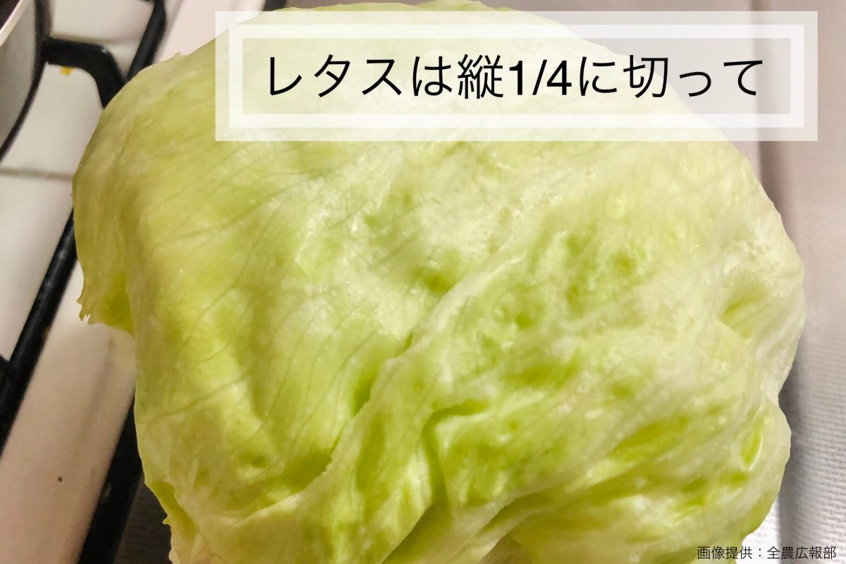 sirabee20210702lettuce3