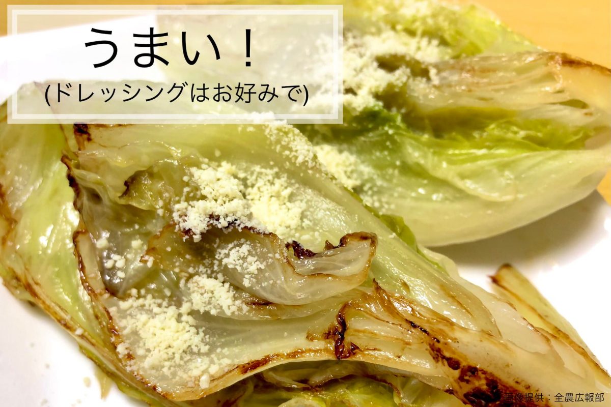 sirabee20210702lettuce4