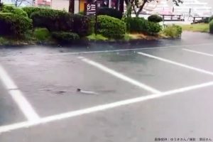 芦ノ湖・駐車場