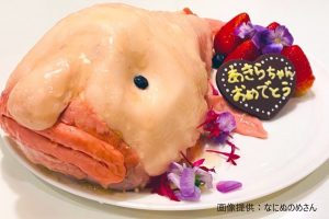 sirabee20210706choutinankou3