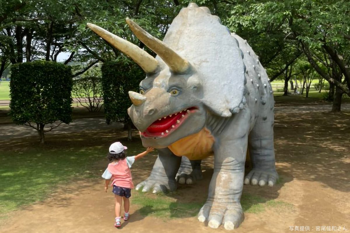 八坂公園