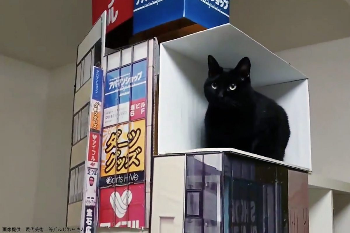 新宿3Dリアル猫