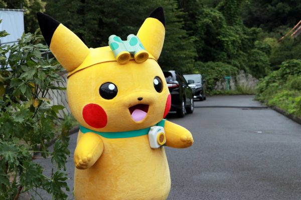 ポケモンワンダー